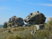 DSCN8028