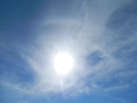DSCN8055