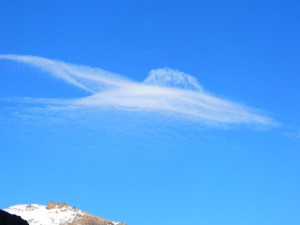 DSCN5393