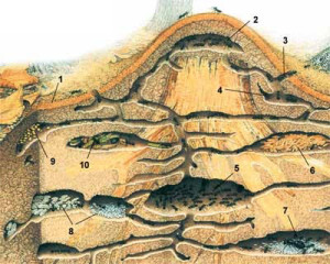 3._0