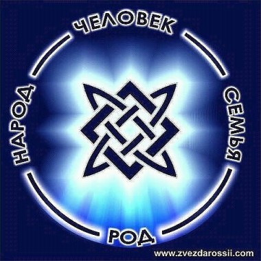 image (7)